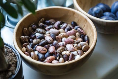 traditional chinese medicine nutrition - beans